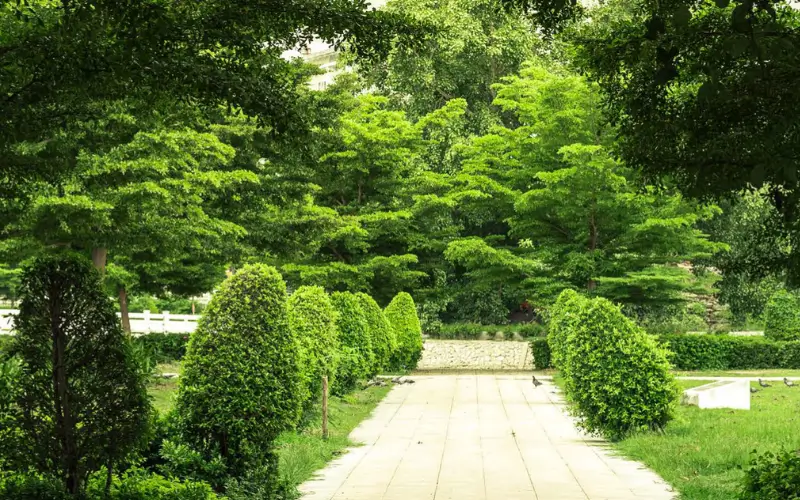 كمبوند بارك واي ريزيدنس التجمع الخامس تفاصيل واسعار ( تشطيب سوبر لوكس)